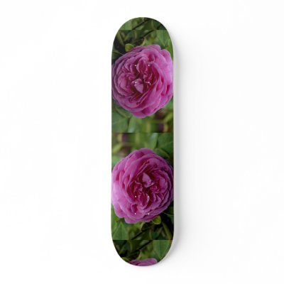 Beautiful Bourbon Rose 'Louise Odier' Skateboard by inspirelove
