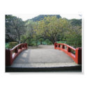 Beautiful Bridge posters