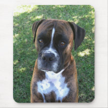 Beautiful Brindle Boxer Dog Photo Mousepad