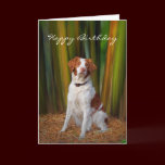 Beautiful Brittany Birthday Card