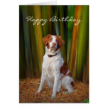 Beautiful Brittany Birthday Card