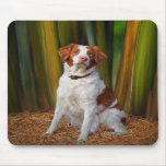Beautiful Brittany Mousepad