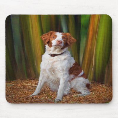 Beautiful Brittany Mousepad
