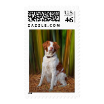 Beautiful Brittany US Postage Stamp by helen2000g Beautiful Brittany US Postage Stamp