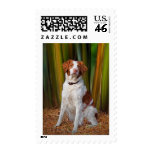 Beautiful Brittany US Postage Stamp
