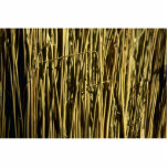 Beautiful Broom Bristles Photo Cut Outs