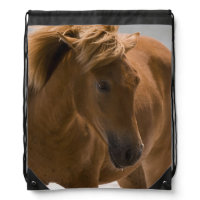 Beautiful Brown Horse Drawstring Backpack