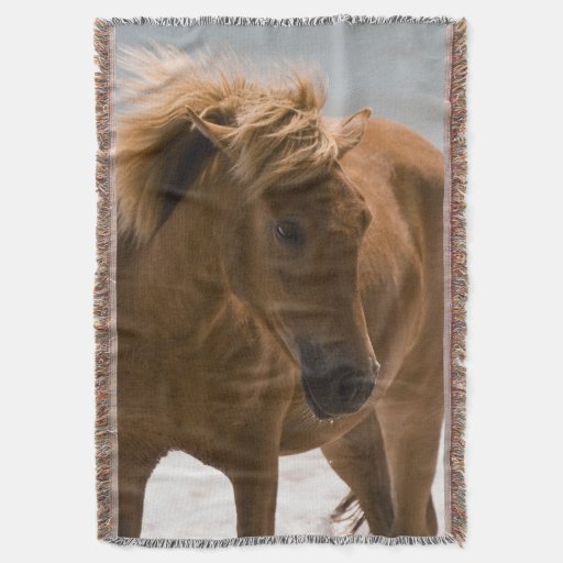plush horse throw blanket