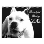 Beautiful Bullys 2012 Dog Calendar