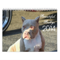 Beautiful Bullys 2014 Dog Calendar