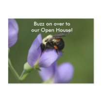 Beautiful Bumble Bee Postcards