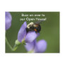 Beautiful Bumble Bee Postcards