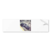 Beautiful Bumper Stickers