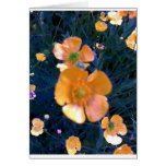 Beautiful Buttercups Greeting Card