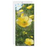 Beautiful Buttercups Rack Card Design