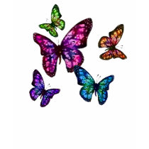 Beautiful Butterfles t-shirts by softrainbow30 Beautiful Butterfles t-shirts