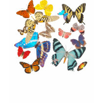 Beautiful Butterflies t-shirts by aesthete Beautiful Butterflies t-shirts