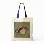 Beautiful butterfly and lifes nectar bags