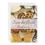 Beautiful Butterfly Collection Invitations
