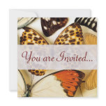 Beautiful Butterfly Collection Invitations
