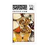 Beautiful Butterfly Collection Postage Stamps