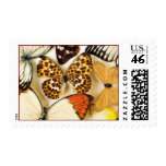 Beautiful Butterfly Collection Postage Stamps