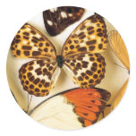 Beautiful Butterfly Collection Round Sticker