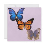 Beautiful Butterfly Invitations