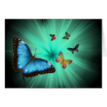 Beautiful Butterfly Journey Greeting Card