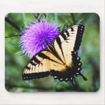 Beautiful Butterfly Mousepad