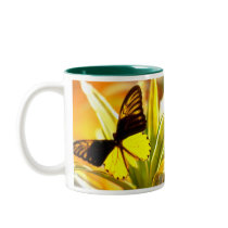 Beautiful Butterfly mugs