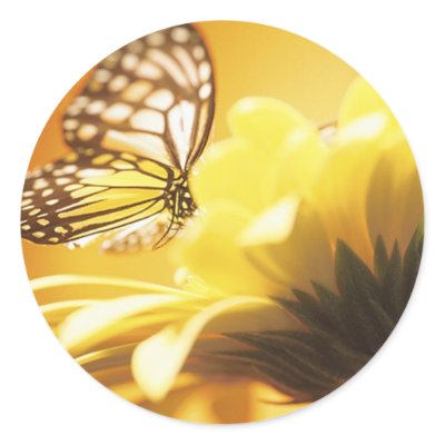 Beautiful Butterfly on a Flower Round Sticker by MidnightDreamer