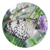 Beautiful Butterfly Perch Sticker by Nishna Beautiful Butterfly Perch Sticker