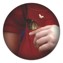 Beautiful Butterfly Photo Stickers 1 by mickeyelvis128 Beautiful Butterfly Photo Stickers 1