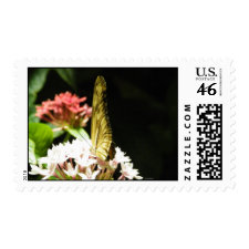 Beautiful Butterfly Stamps