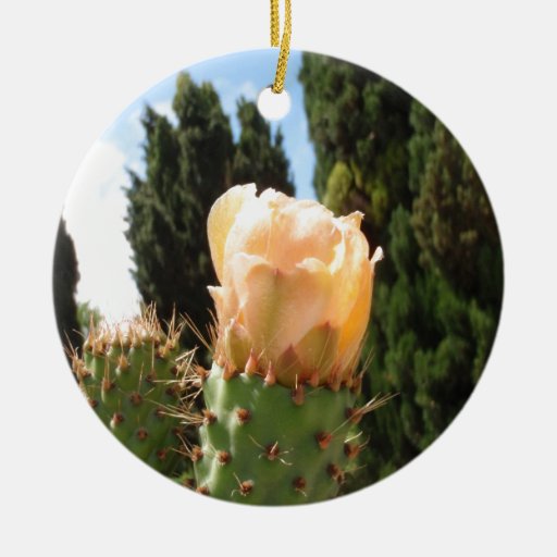 beautiful cactus flower christmas tree ornament zazzle beautiful cactus flower christmas tree ornament zazzle