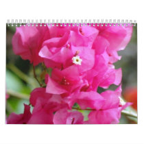 Beautiful Calendar by TheLakeHouseStudio Beautiful Calendar