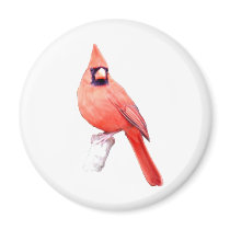 Beautiful Cardinal Magnet