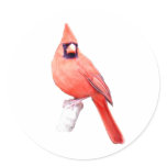Beautiful Cardinal Round Sticker