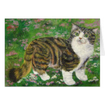beautiful cat cards