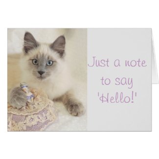 Beautiful Cat Just A Note to Say Hello Card