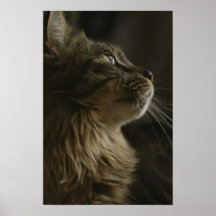 Beautiful Cat Poster