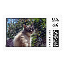 Beautiful Cat - stamp
