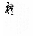 Beautiful Chinese Calligraphy - Gifts t-shirts