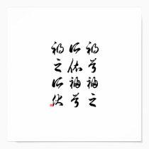 Beautiful Chinese Calligraphy -happness&misfortune posters