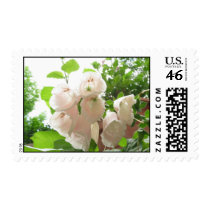 Beautiful Clochettes US  Postage Stamp