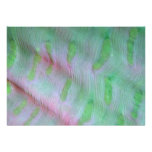 Beautiful Close-up of the body of a sea anemone Invites