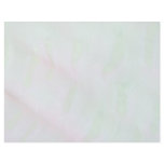 Beautiful Close-up of the body of a sea anemone Personalized Letterhead