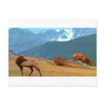 Beautiful Colorado postcard