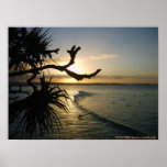 Beautiful Cooly posters